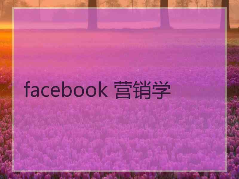 facebook 营销学