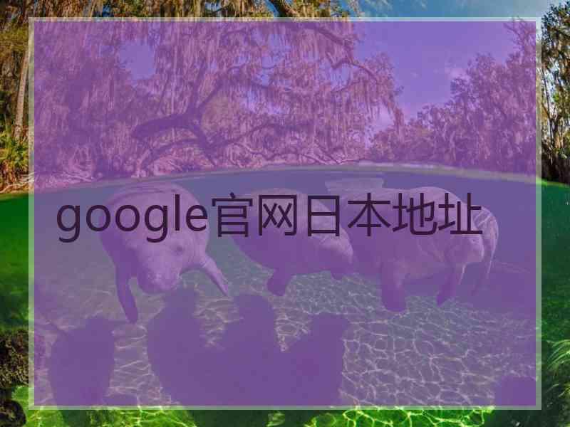 google官网日本地址