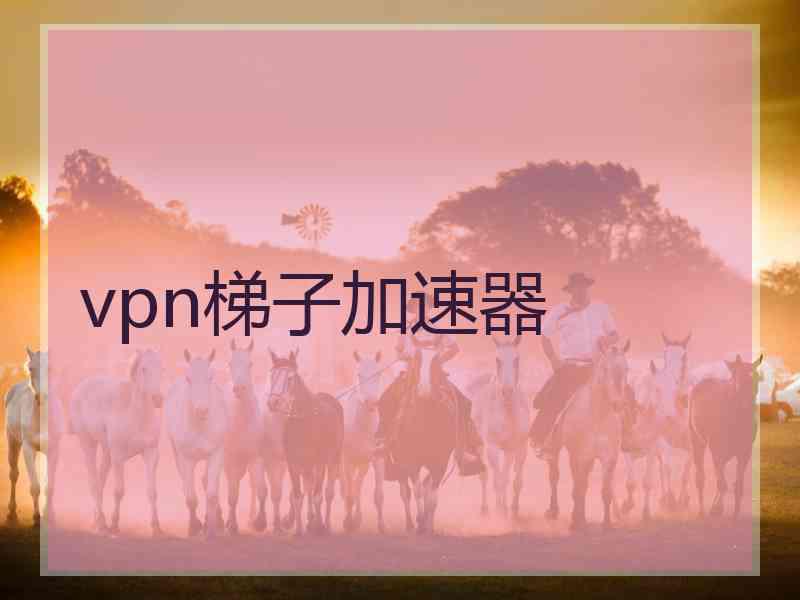 vpn梯子加速器