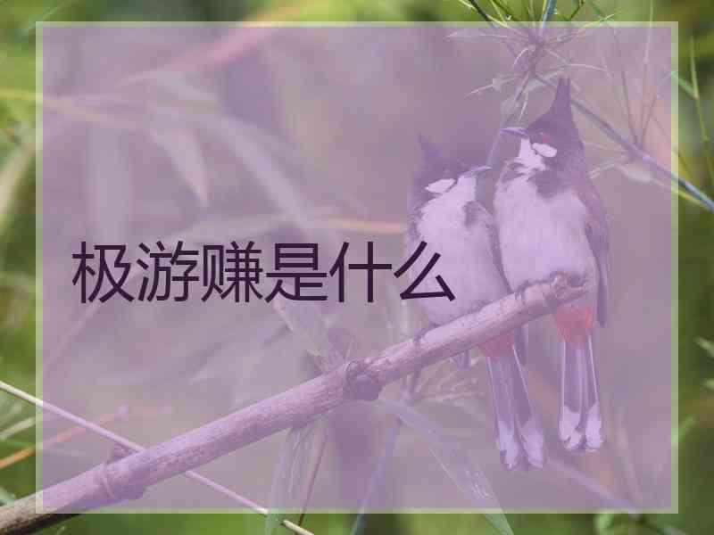 极游赚是什么