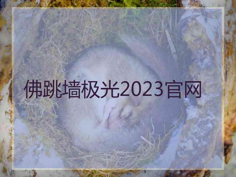 佛跳墙极光2023官网