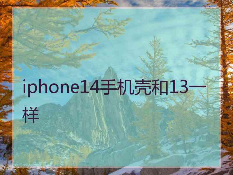 iphone14手机壳和13一样