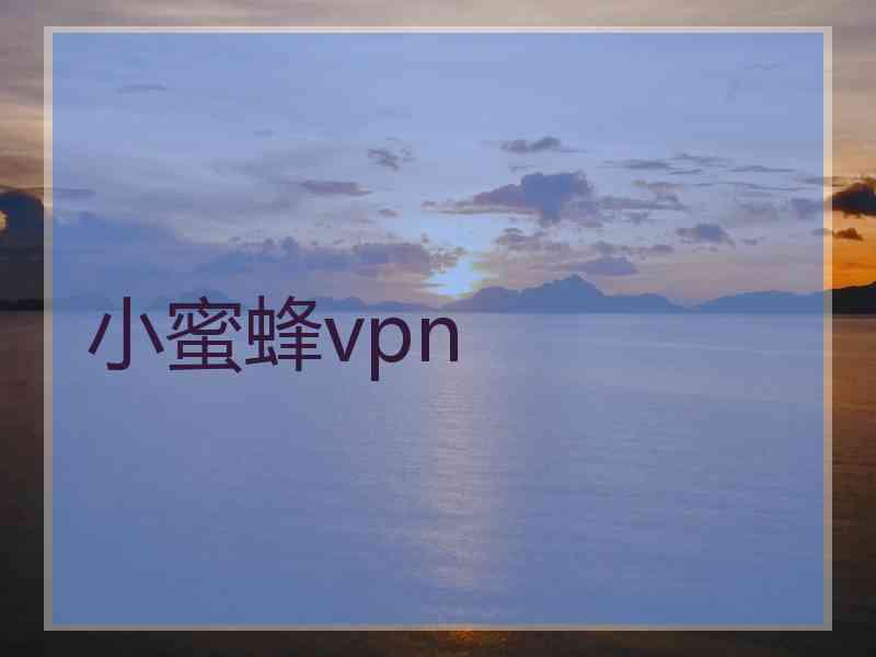 小蜜蜂vpn