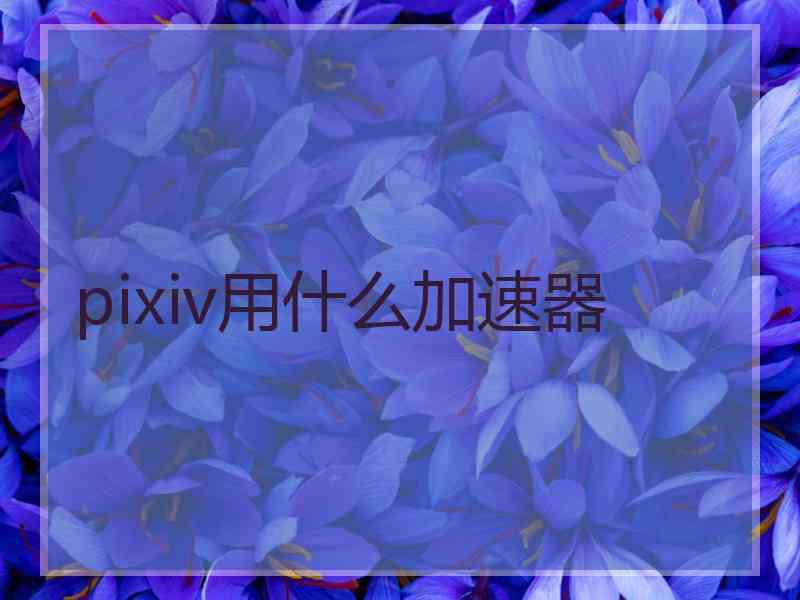 pixiv用什么加速器