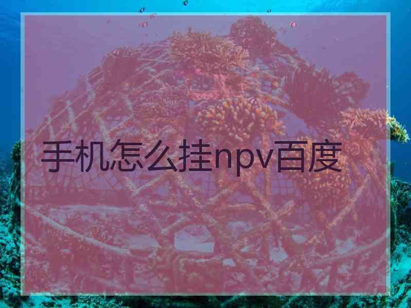 手机怎么挂npv百度