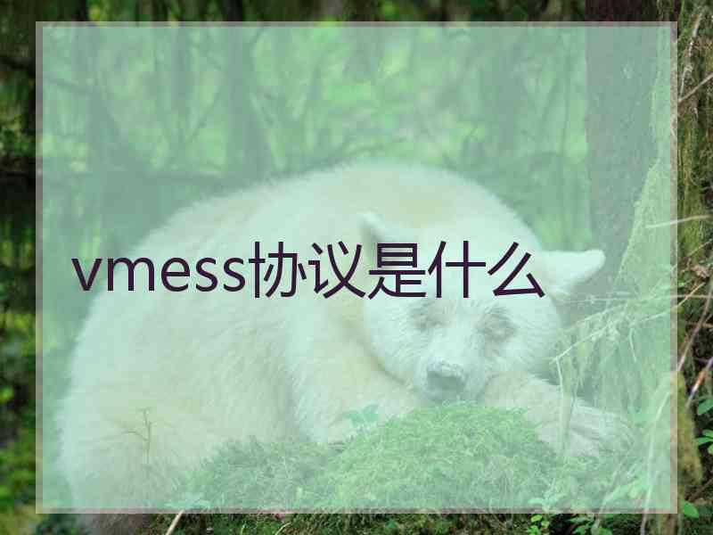 vmess协议是什么