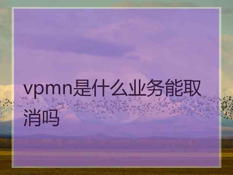 vpmn是什么业务能取消吗