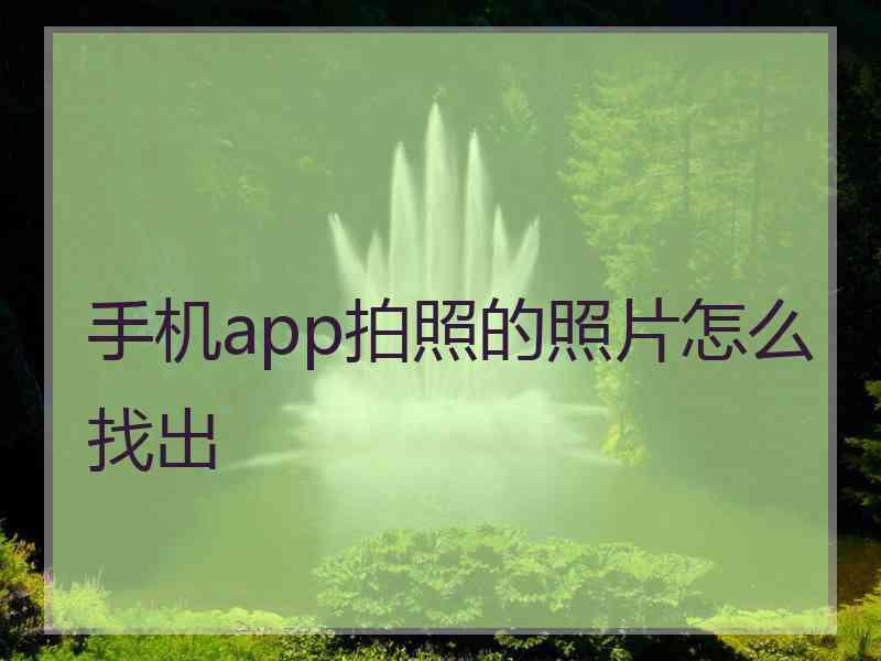 手机app拍照的照片怎么找出