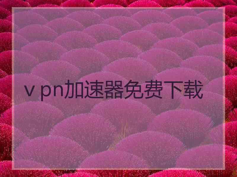 ⅴpn加速器免费下载