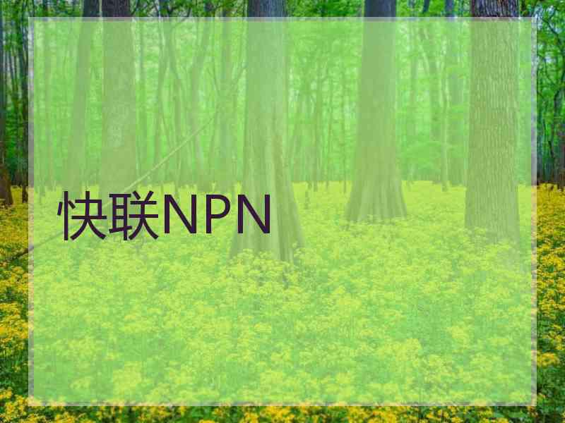 快联NPN