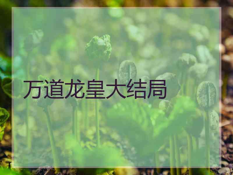 万道龙皇大结局