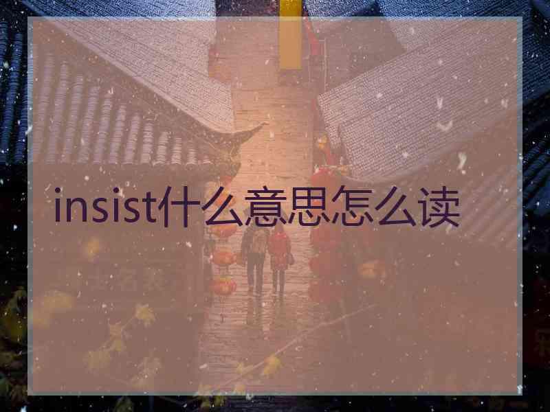 insist什么意思怎么读