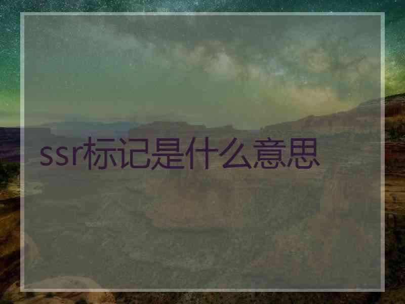 ssr标记是什么意思