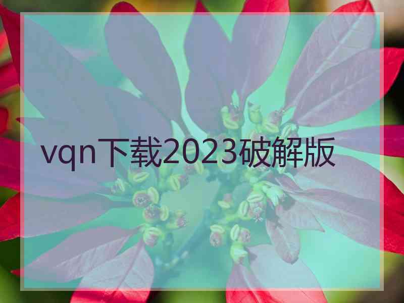 vqn下载2023破解版