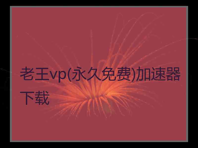 老王vp(永久免费)加速器下载