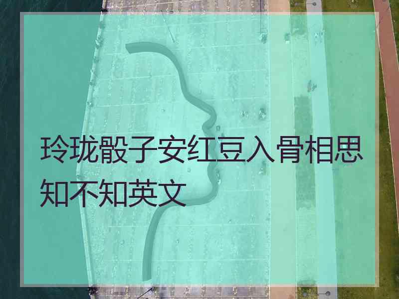 玲珑骰子安红豆入骨相思知不知英文