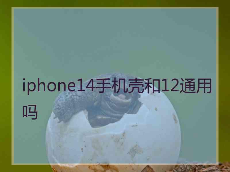 iphone14手机壳和12通用吗