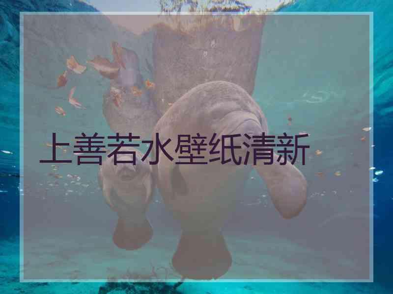 上善若水壁纸清新