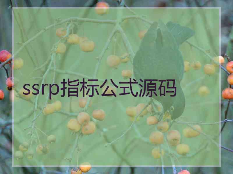 ssrp指标公式源码