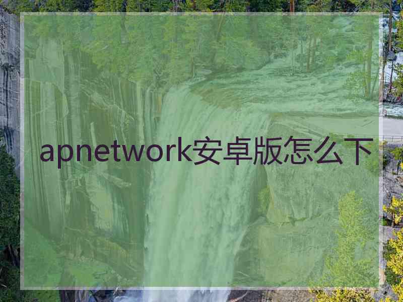 apnetwork安卓版怎么下