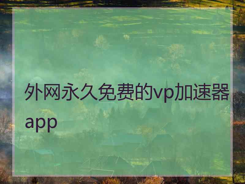 外网永久免费的vp加速器app