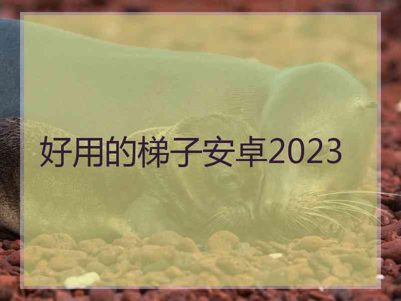 好用的梯子安卓2023