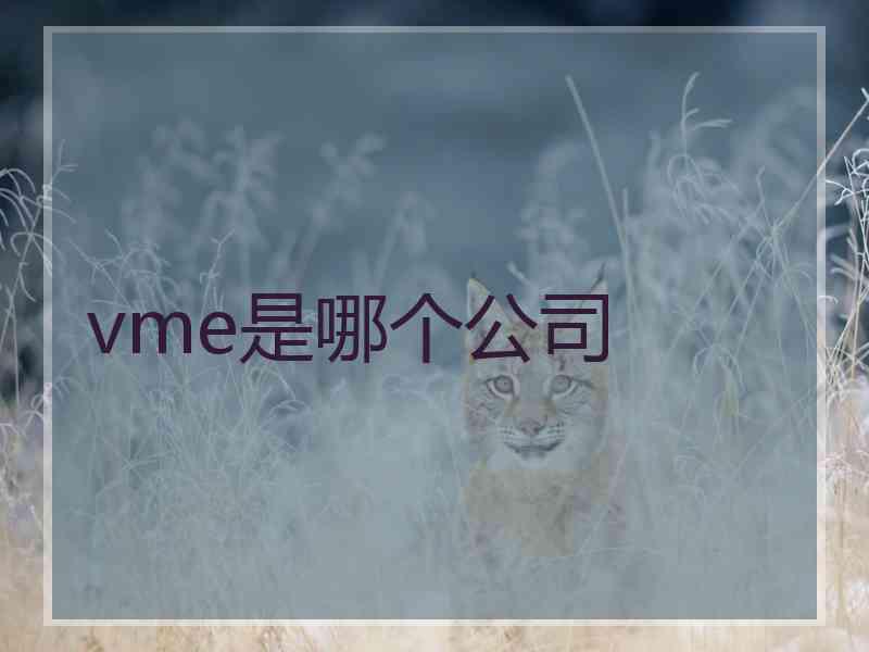 vme是哪个公司