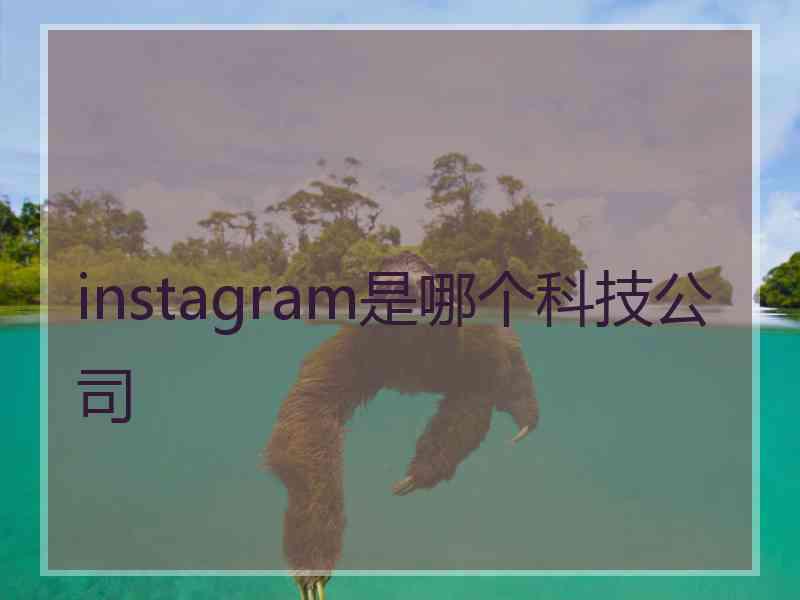 instagram是哪个科技公司