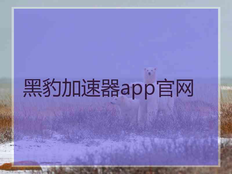 黑豹加速器app官网