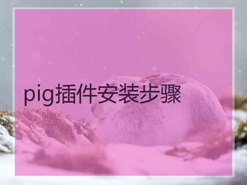 pig插件安装步骤