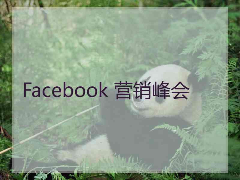 Facebook 营销峰会