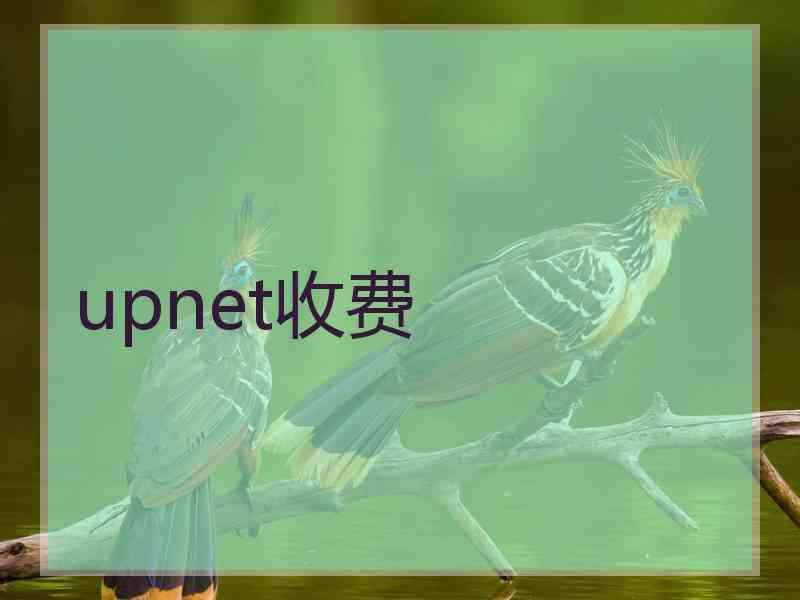 upnet收费