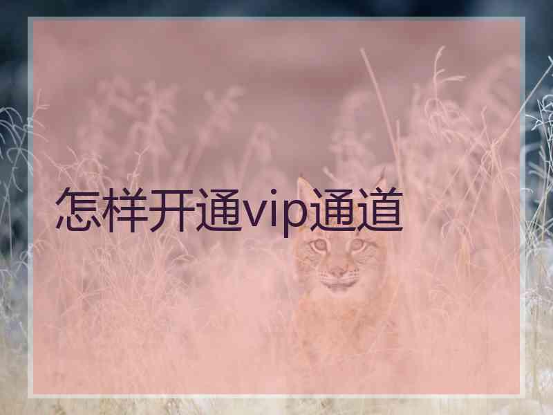 怎样开通vip通道