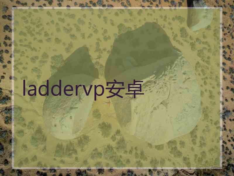 laddervp安卓