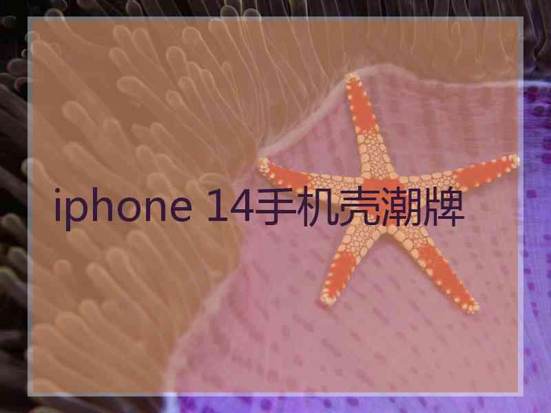 iphone 14手机壳潮牌