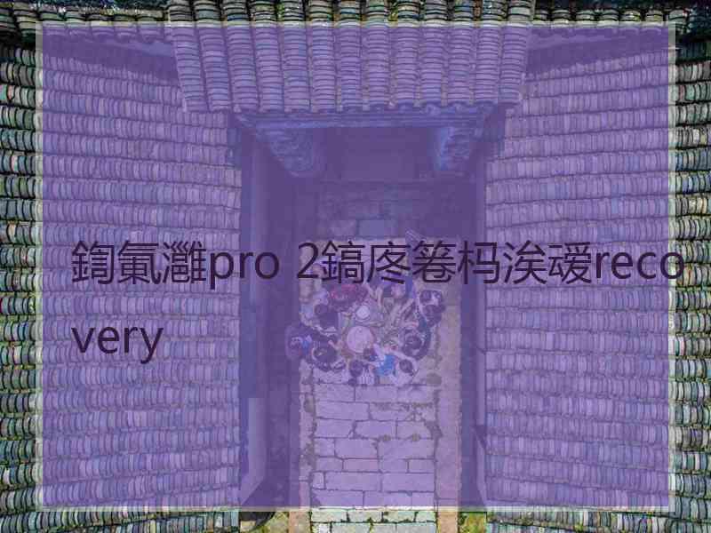 鍧氭灉pro 2鎬庝箞杩涘叆recovery