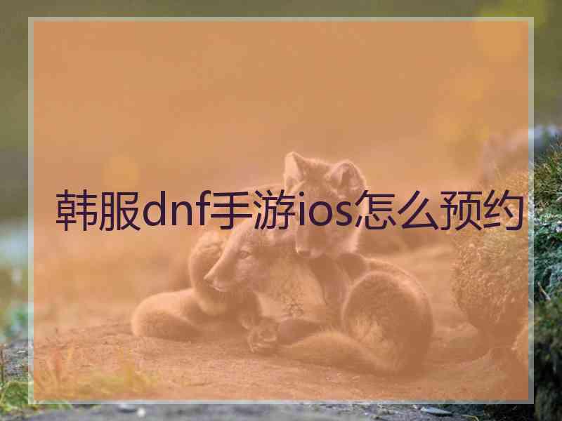 韩服dnf手游ios怎么预约