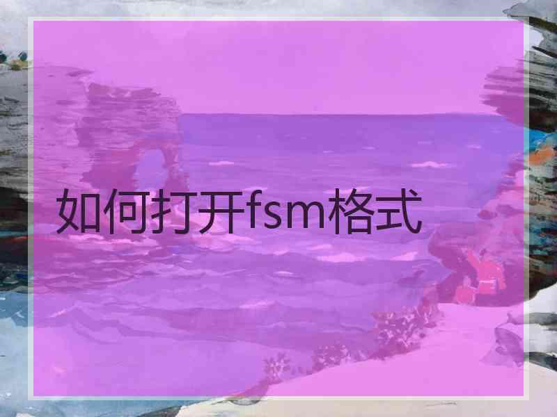 如何打开fsm格式