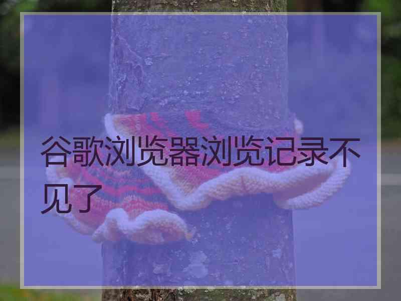 谷歌浏览器浏览记录不见了