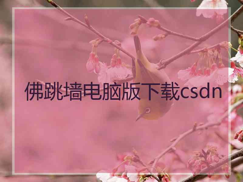 佛跳墙电脑版下载csdn