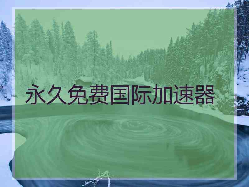 永久免费国际加速器