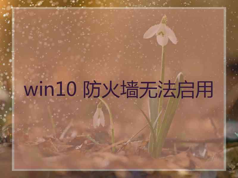 win10 防火墙无法启用