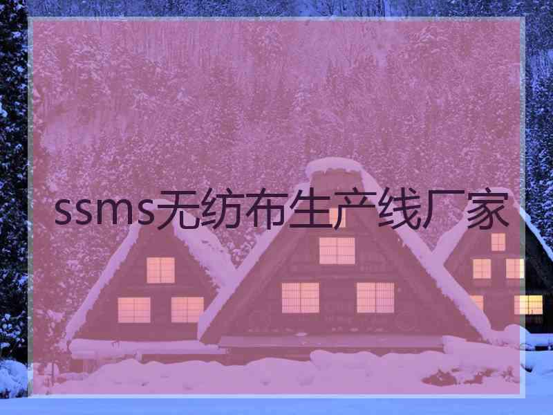 ssms无纺布生产线厂家