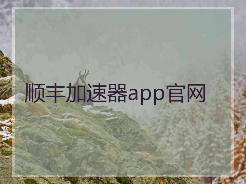 顺丰加速器app官网