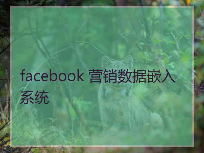 facebook 营销数据嵌入系统