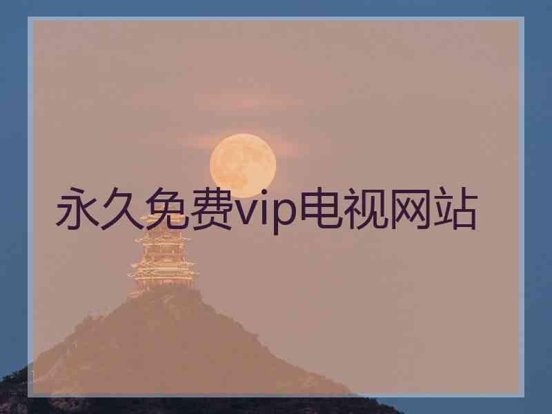 永久免费vip电视网站