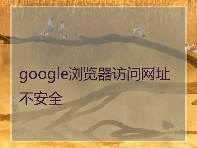 google浏览器访问网址不安全