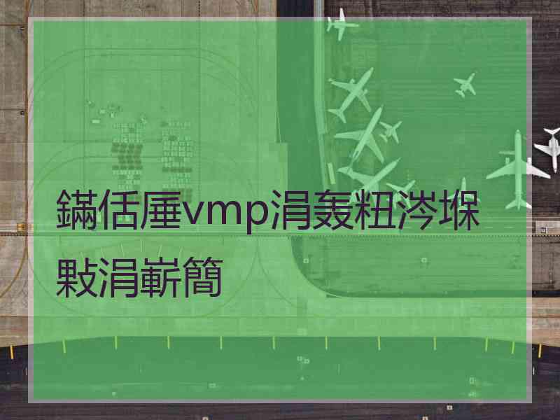 鏋佸厜vmp涓轰粈涔堢敤涓嶄簡