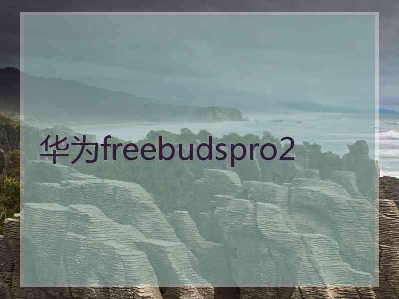 华为freebudspro2