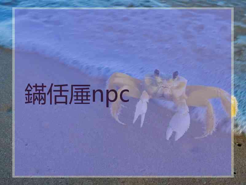 鏋佸厜npc